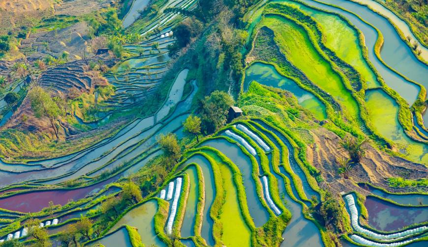 走进老边区TVC拍摄：解锁本地化场景与创意镜头的完美融合